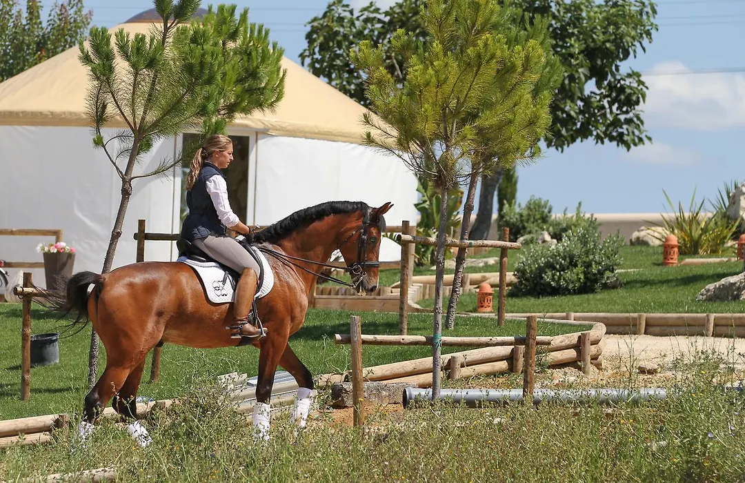 Quinta M - Portugal-1